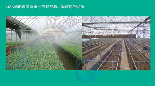 智能溫室大棚控制系統(tǒng)qt xws10型,是啟特環(huán)保廠(chǎng)家專(zhuān)門(mén)為農(nóng)業(yè)溫室 農(nóng)業(yè)環(huán)境控制 氣象觀(guān)測(cè)開(kāi)發(fā)生產(chǎn)的環(huán)境自動(dòng)控制系統(tǒng)
